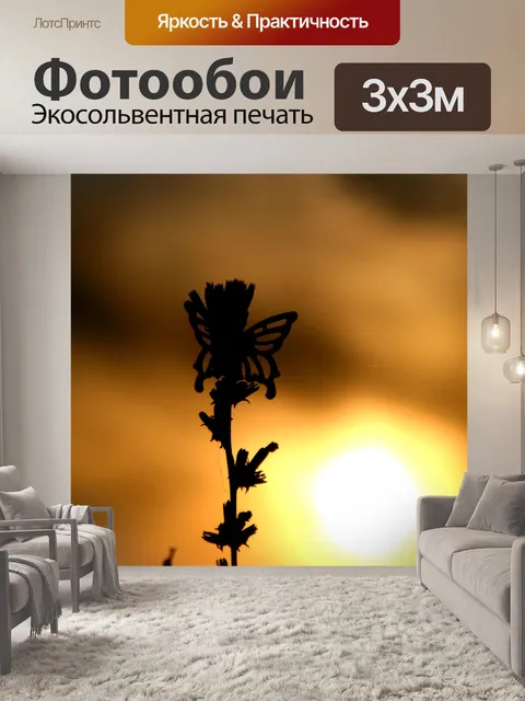 Фотообои Бабочки