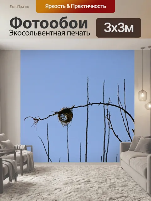 Фотообои круглый старт нового ткацкого гнезда