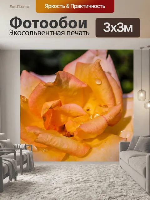 Фотообои Роза в саду