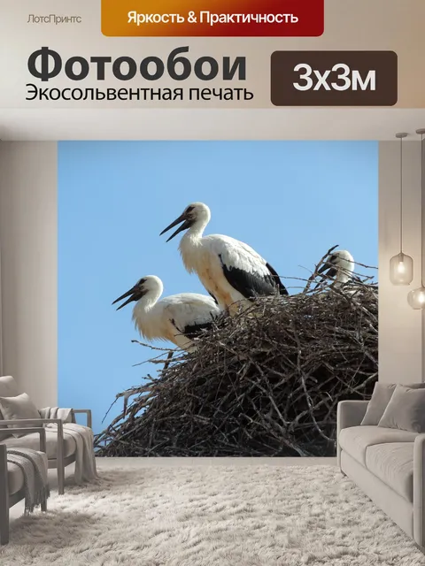 Фотообои Аист