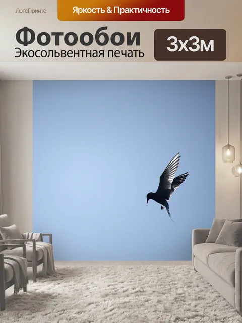 Фотообои Рыбная крачка
