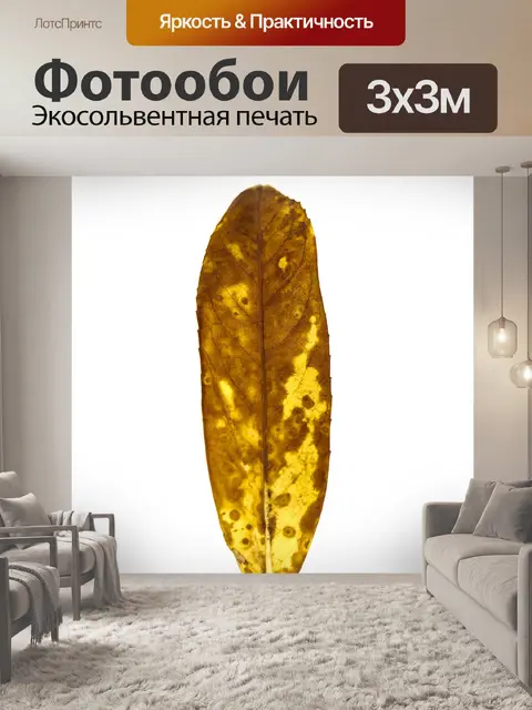 Фотообои Лист