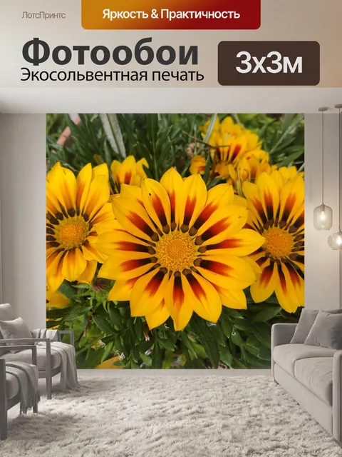 Фотообои Цветы