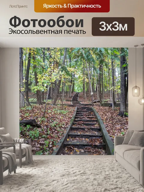 Фотообои Лес