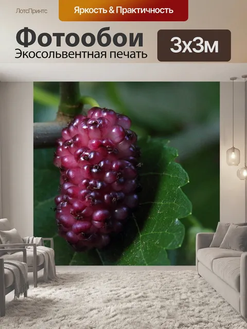 Фотообои созревающая шелковица на стебле