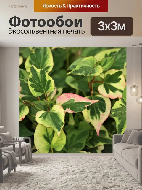 Фотообои Завод хамелеона крупным планом 2