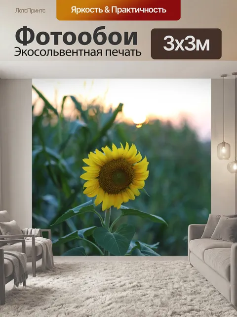Фотообои Подсолнечник на закате