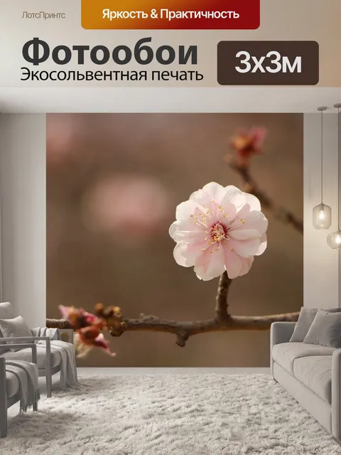 Фотообои Цветок