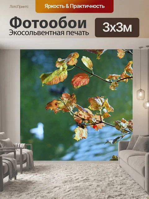 Фотообои Листья