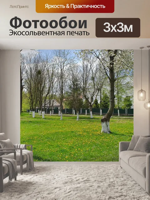 Фотообои Луг