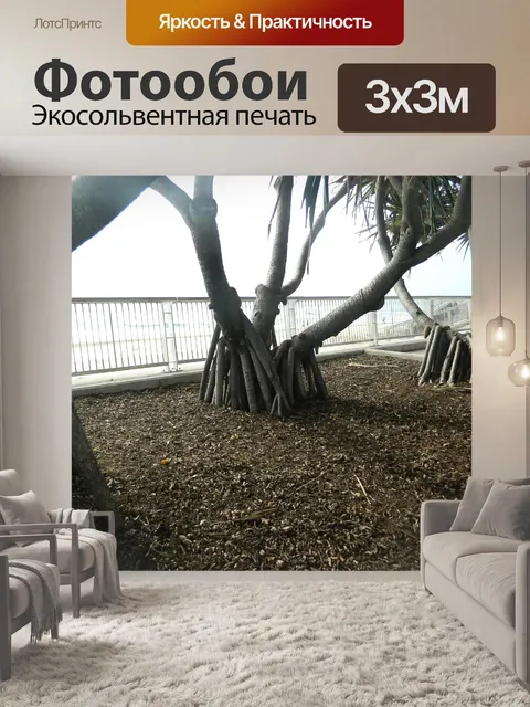 Фотообои Странные деревья