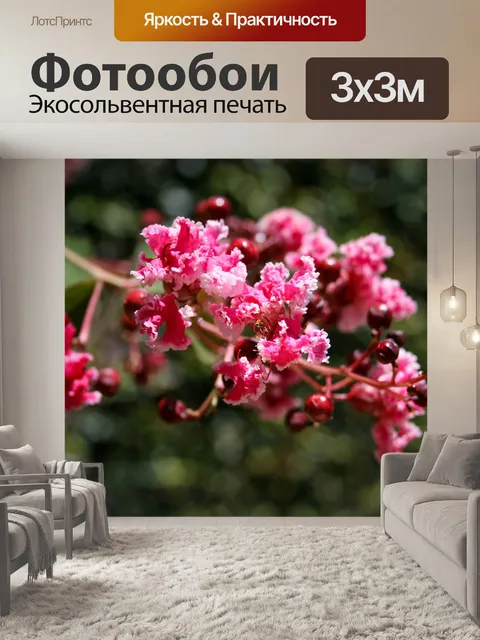 Фотообои Ягоды