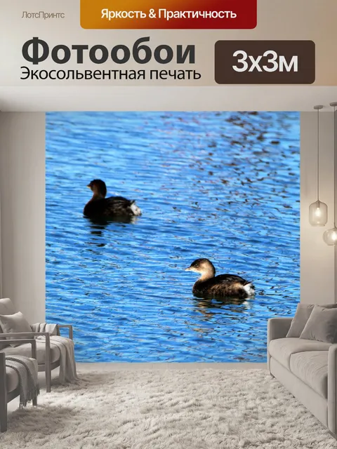 Фотообои Два плавающих гребля