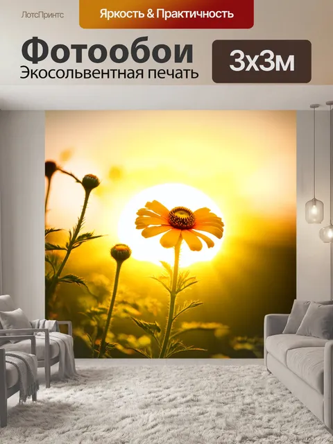 Фотообои гелениум в ярком желтом цвете на фоне заката, когда солнечные лучи окрашивают его в золотистые оттенки