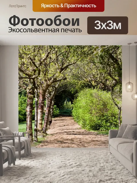 Фотообои Лесной проходе дерева