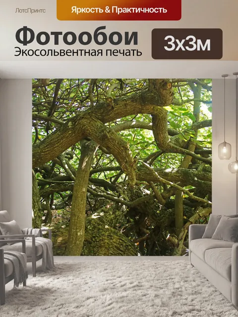 Фотообои путаные стволы и ветви