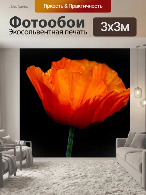 Фотообои маки