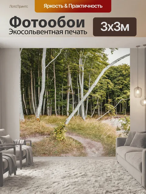 Фотообои Лес