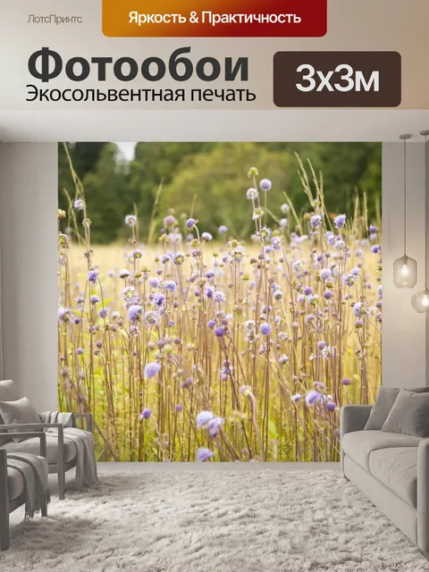 Фотообои В конце лета луг