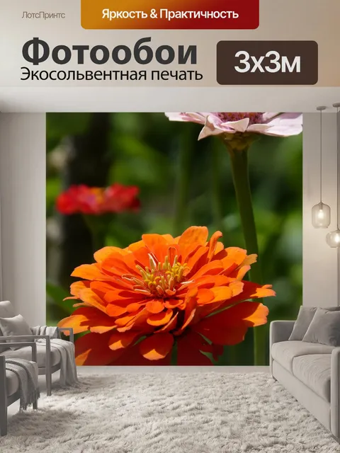 Фотообои Цветы