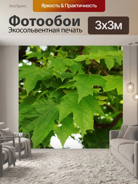 Фотообои Клен