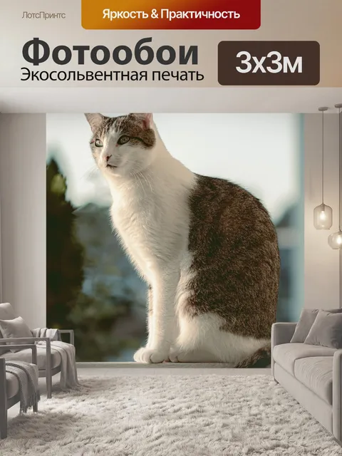 Фотообои Балкон