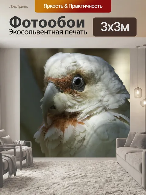 Фотообои Птицы