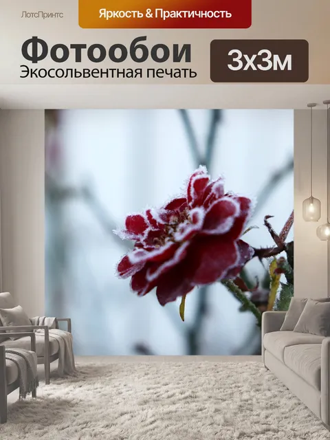 Фотообои Роза