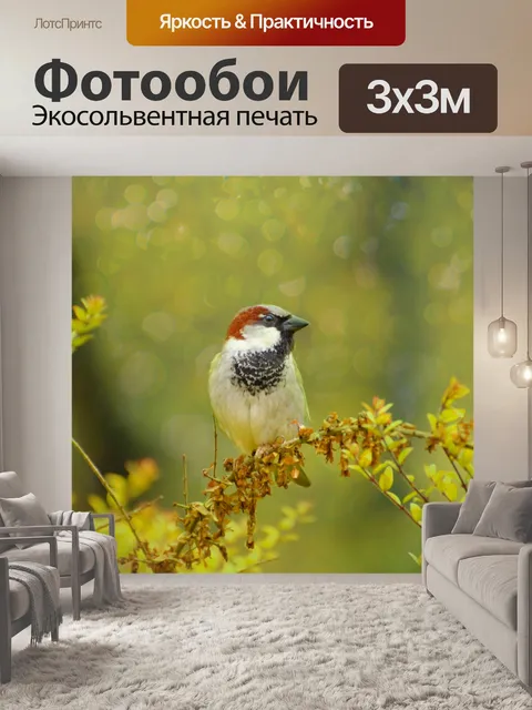 Фотообои Птица