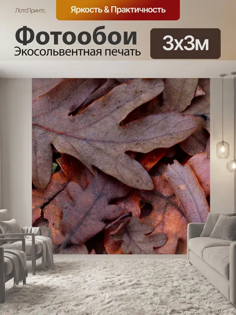 Фотообои Лист