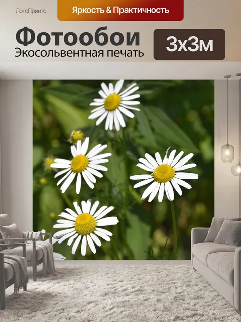 Фотообои Цветок