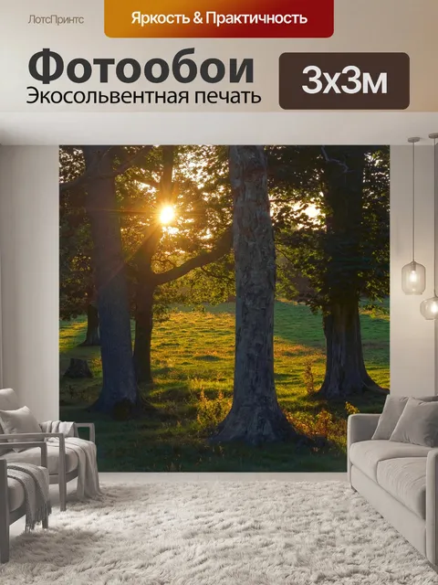 Фотообои Деревья