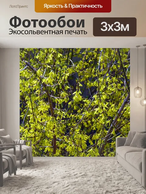 Фотообои Золотой дождь