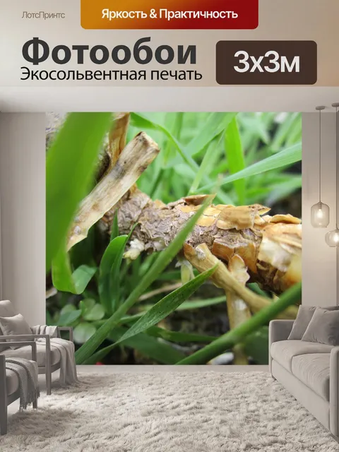 Фотообои Драгоценные камни