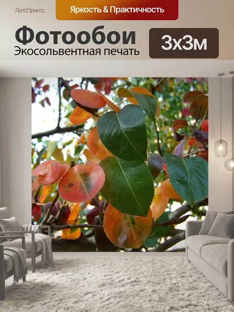 Фотообои Листья