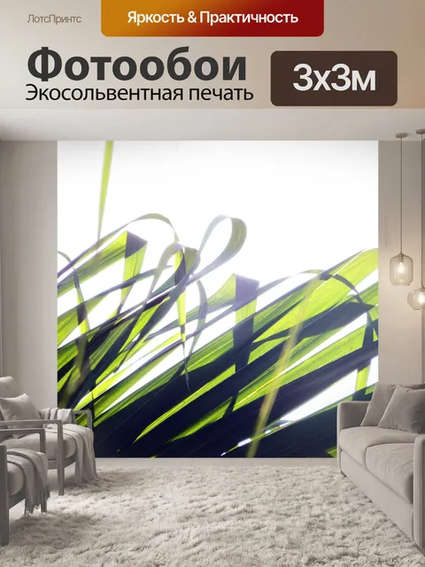 Фотообои Солнечный свет сквозь леса