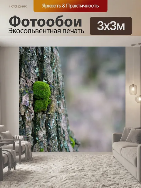 Фотообои Мох