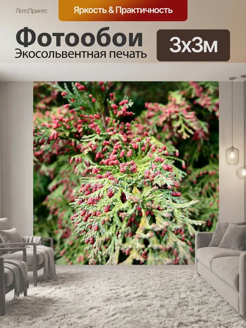 Фотообои Природа