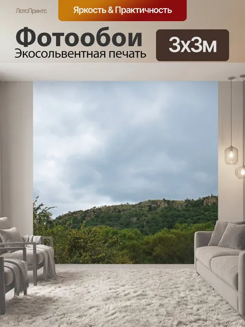 Фотообои холм и растительность в галерее