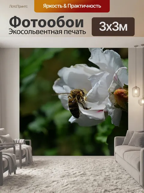 Фотообои Природа