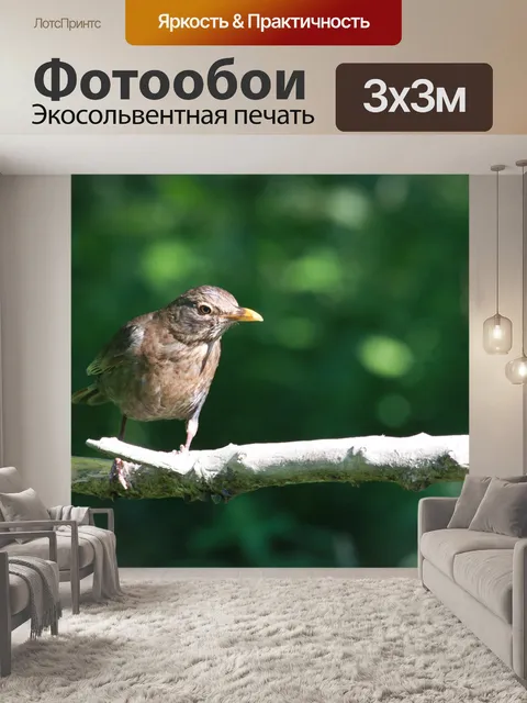 Фотообои Воробей