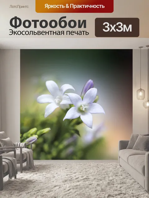 Фотообои Цветы