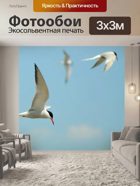 Фотообои Ласточки