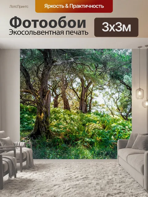 Фотообои Лес