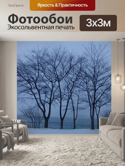 Фотообои Зима