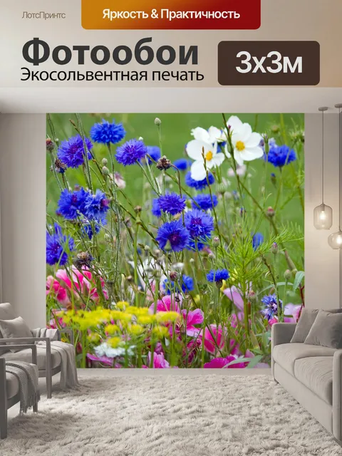 Фотообои Полевые цветы на лугу