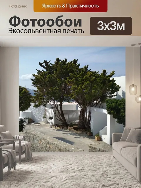 Фотообои Деревья