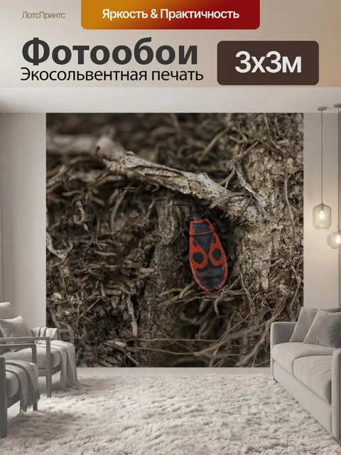 Фотообои Природа