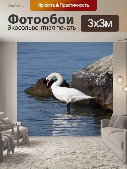 Фотообои Животные