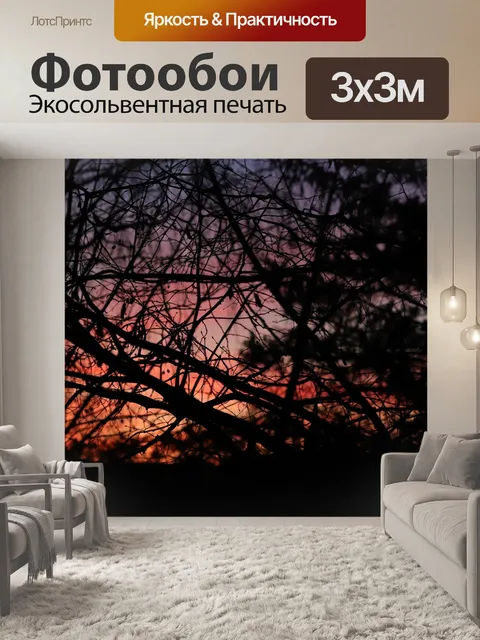 Фотообои Вечер